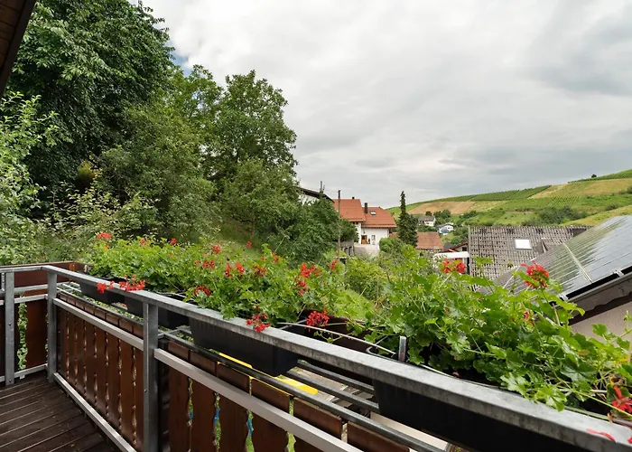 Appartement Hoerth *